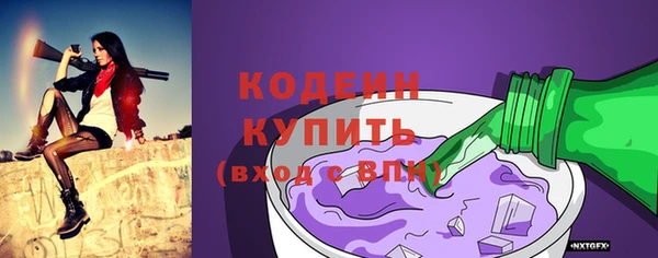 бошки Елабуга